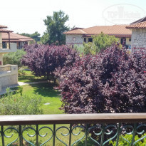 фото из отзыва ID 1213933