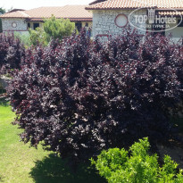 фото из отзыва ID 1213933