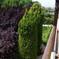 фото из отзыва ID 1213933