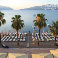 фото из отзыва ID 1213967