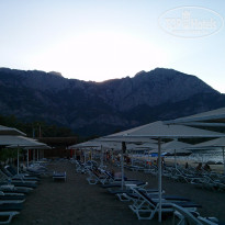 фото из отзыва ID 1214207