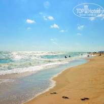 фото из отзыва ID 1214252