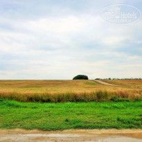 фото из отзыва ID 1214252