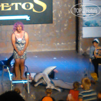 фото из отзыва ID 1214501