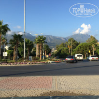 фото из отзыва ID 1214723