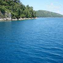 фото из отзыва ID 1215137