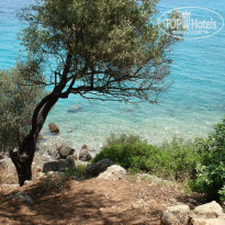 фото из отзыва ID 1215137