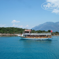 фото из отзыва ID 1215137