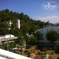 фото из отзыва ID 1215137