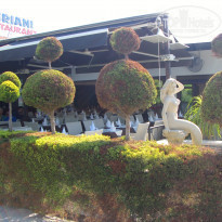 фото из отзыва ID 1215611