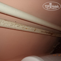 фото из отзыва ID 1215723