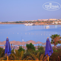 фото из отзыва ID 1215899