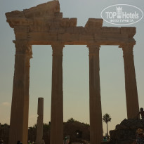 фото из отзыва ID 1216035