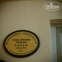 фото из отзыва ID 1216164