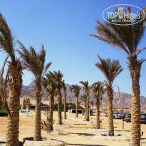 фото из отзыва ID 1216191