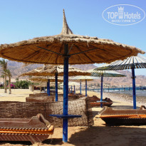 фото из отзыва ID 1216191