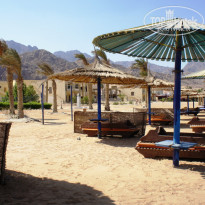 фото из отзыва ID 1216191