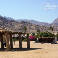 фото из отзыва ID 1216191