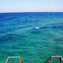 фото из отзыва ID 1216191