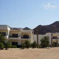 фото из отзыва ID 1216191