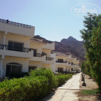 фото из отзыва ID 1216191