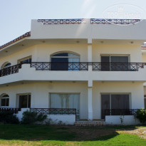 фото из отзыва ID 1216191