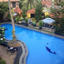 фото из отзыва ID 1216269