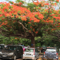 фото из отзыва ID 1216377