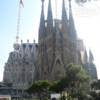 фото из отзыва ID 1216418