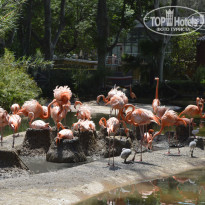 фото из отзыва ID 1216453