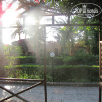 фото из отзыва ID 1216473