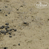 фото из отзыва ID 1216473