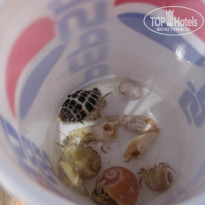 фото из отзыва ID 1216473