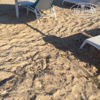 фото из отзыва ID 1216583