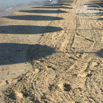 фото из отзыва ID 1216583