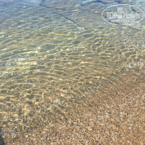 фото из отзыва ID 1216583