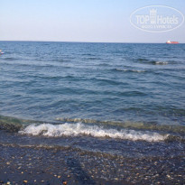 фото из отзыва ID 1216716