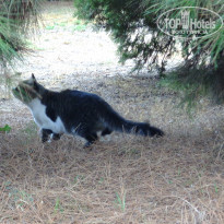 фото из отзыва ID 1216792