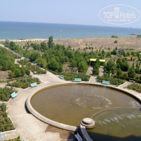 фото из отзыва ID 1216802