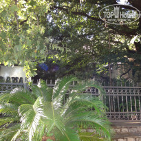 фото из отзыва ID 1216912