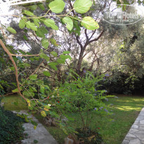 фото из отзыва ID 1216912