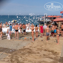 фото из отзыва ID 1216915