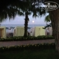 фото из отзыва ID 1216915