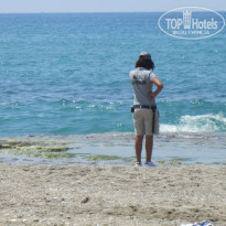 фото из отзыва ID 1212404