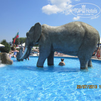 фото из отзыва ID 1217071