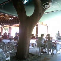 фото из отзыва ID 1217138