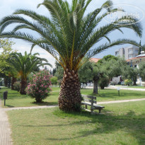 фото из отзыва ID 1217163