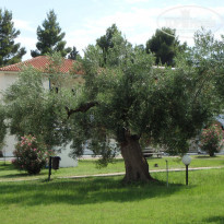 фото из отзыва ID 1217163