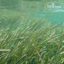 фото из отзыва ID 1217163