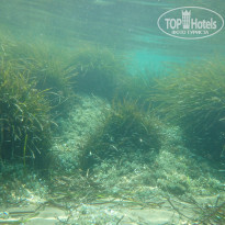 фото из отзыва ID 1217163